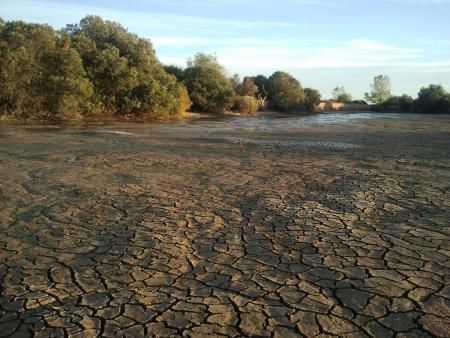 Re: la laguna de chozas de arriba se seca